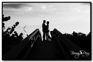 engagement session clearwater