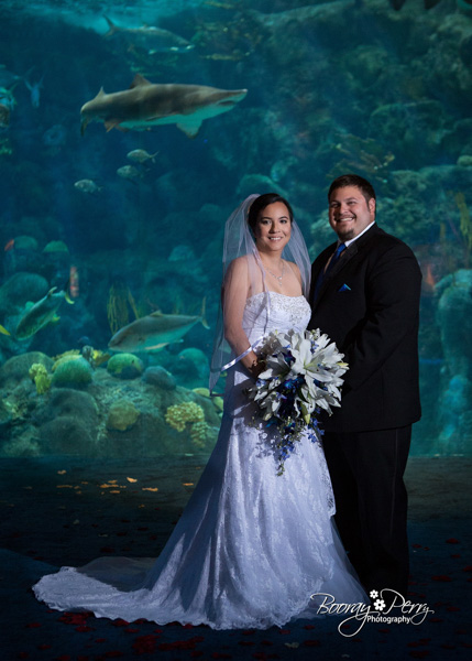 tampa aquarium wedding 13
